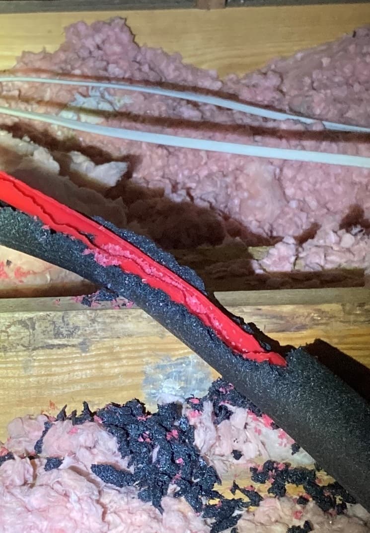 Mouse damage to electrical wiring