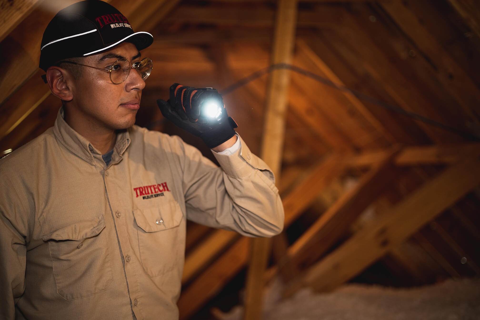 Thorough attic inspection for rodent activity